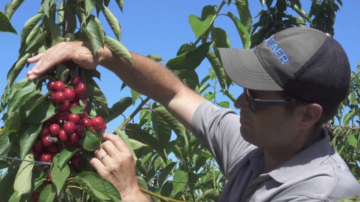 Benjamin Labbe, experto en uso de nanoburbujas en la agricultura
